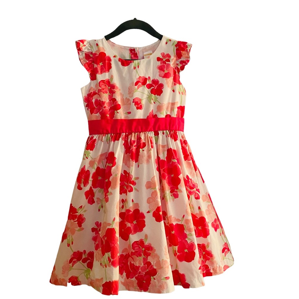 Gymboree Dress 5